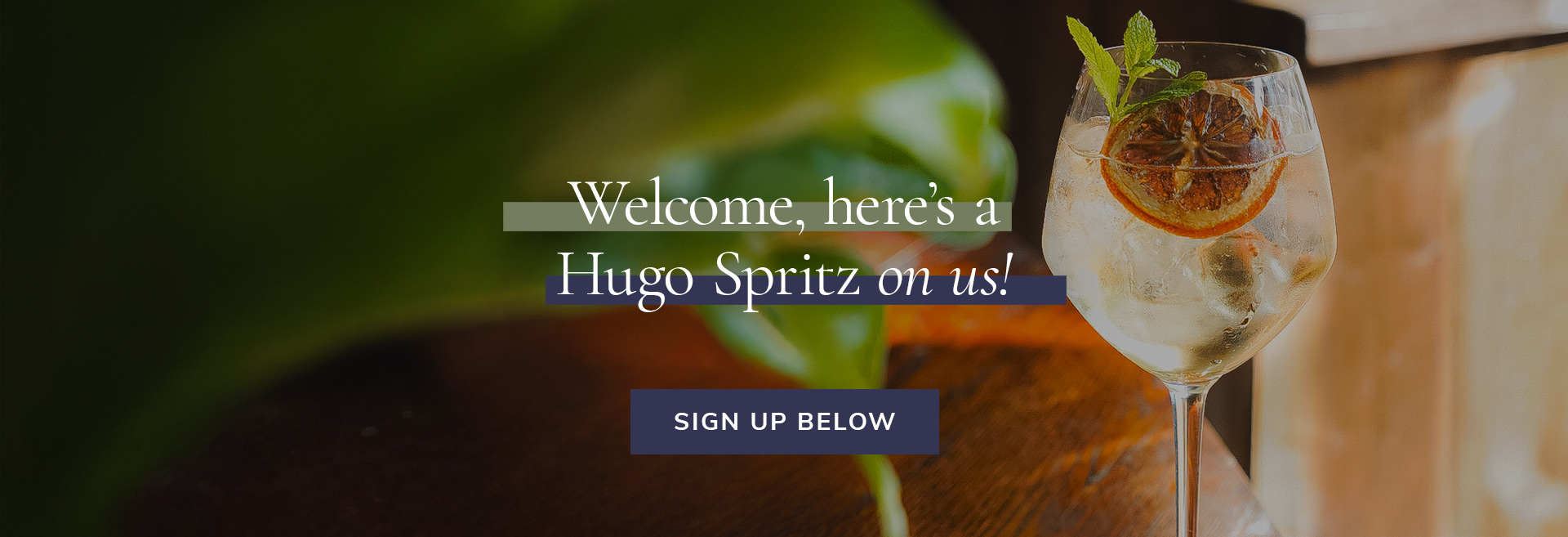 Sign up to the newsletter at The Salisbury Arms
